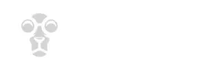 A legjobb online kaszinók magyar játékosoknak